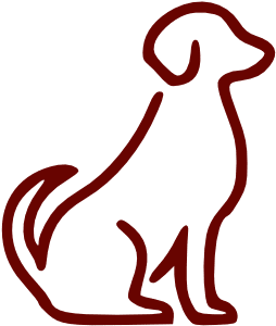 prestation image 1